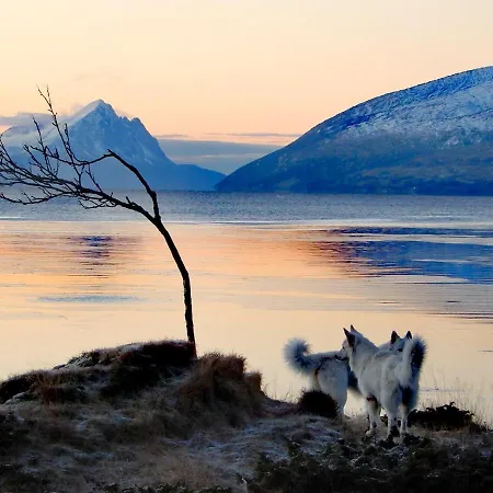 فندق مبيت وإفطار Aline's Stue, Utskarpen *