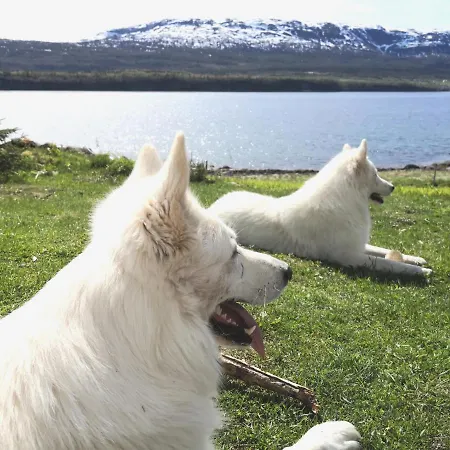 Couette-café Aline's Stue Utskarpen, Mo I Rana *