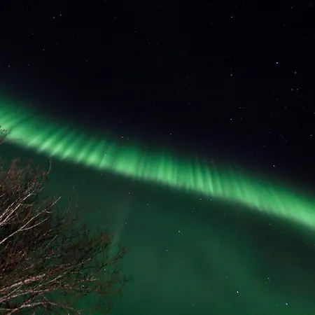 Aline's Stue, Utskarpen Fuglstad