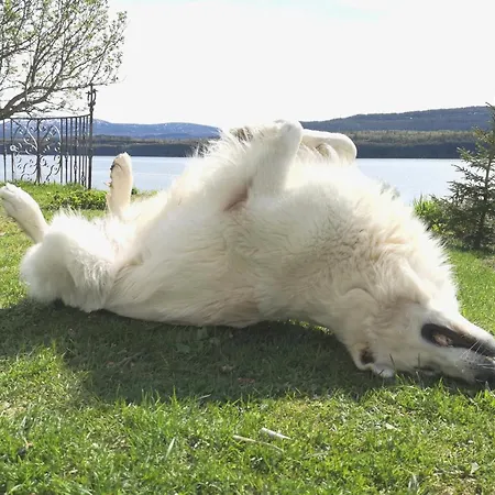 Aline's Stue, Utskarpen Fuglstad