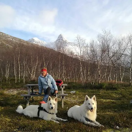 Aline's Stue, Utskarpen *