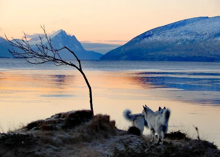 Couette-café Aline's Stue Utskarpen, Mo I Rana *