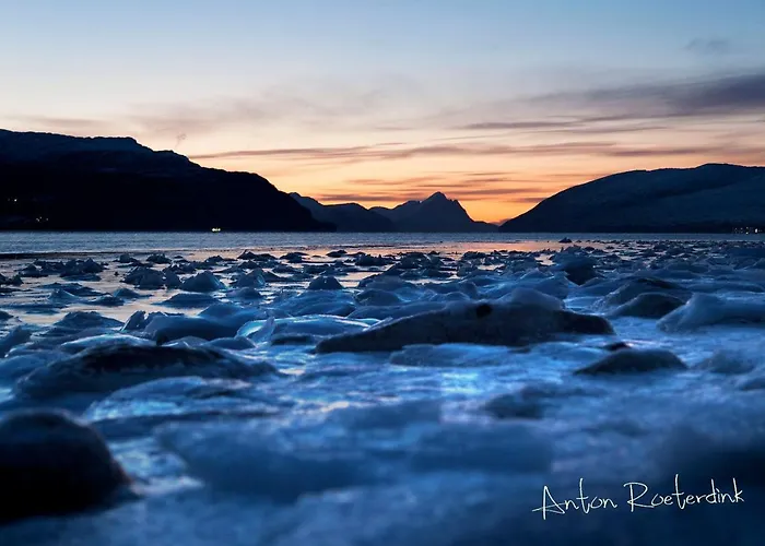 Aline's Stue, Utskarpen Bed & Breakfast Fuglstad