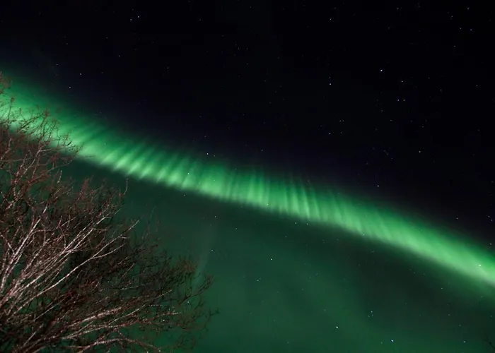 Aline's Stue, Utskarpen Fuglstad
