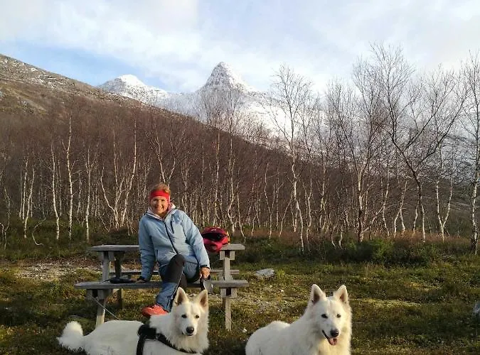 Aline's Stue, Utskarpen *